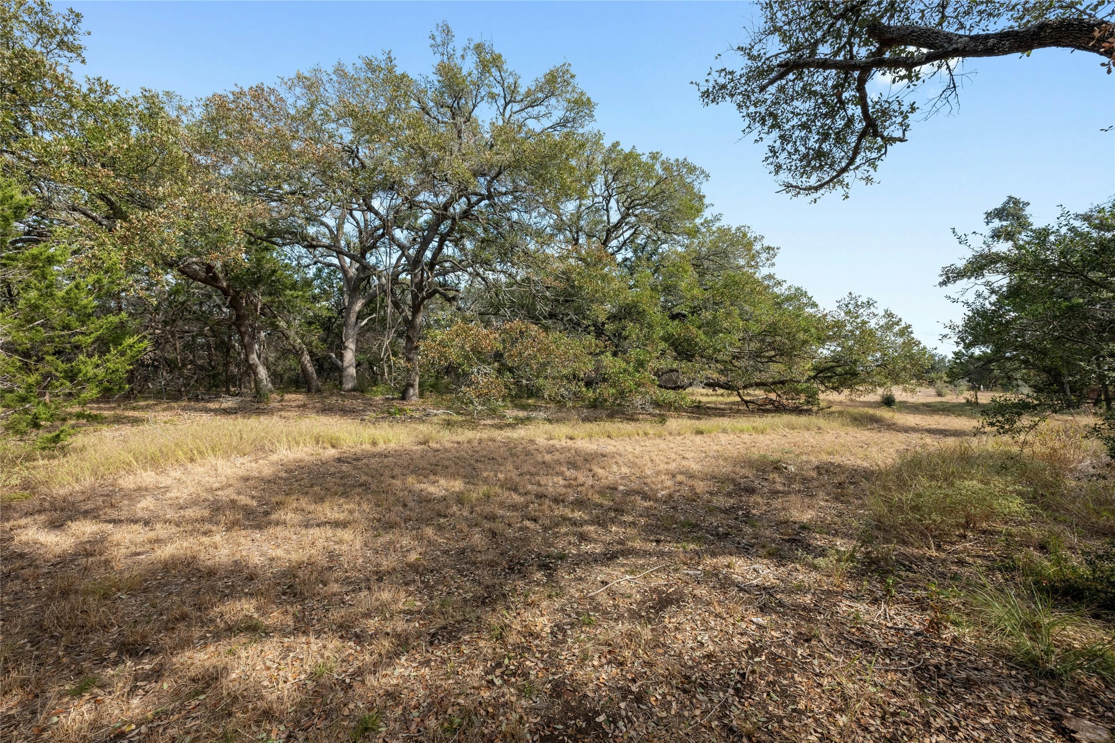 200 Ted Burger Road Dripping Springs, TX 78620 - Photo 7 of 11 a view of outdoor space and yard