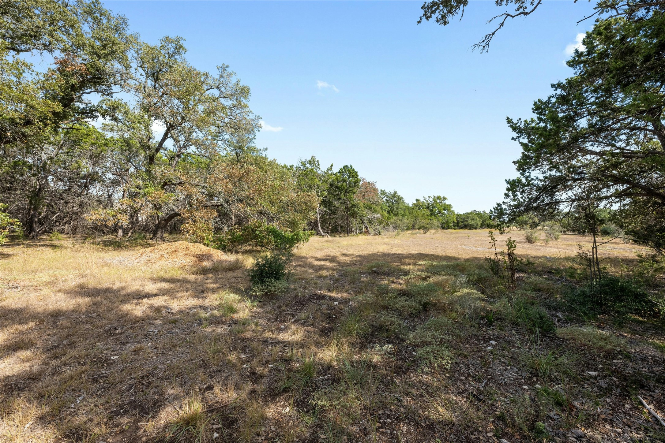 200 Ted Burger Road Dripping Springs, TX 78620 - Photo 8 of 11 a view of a yard with trees