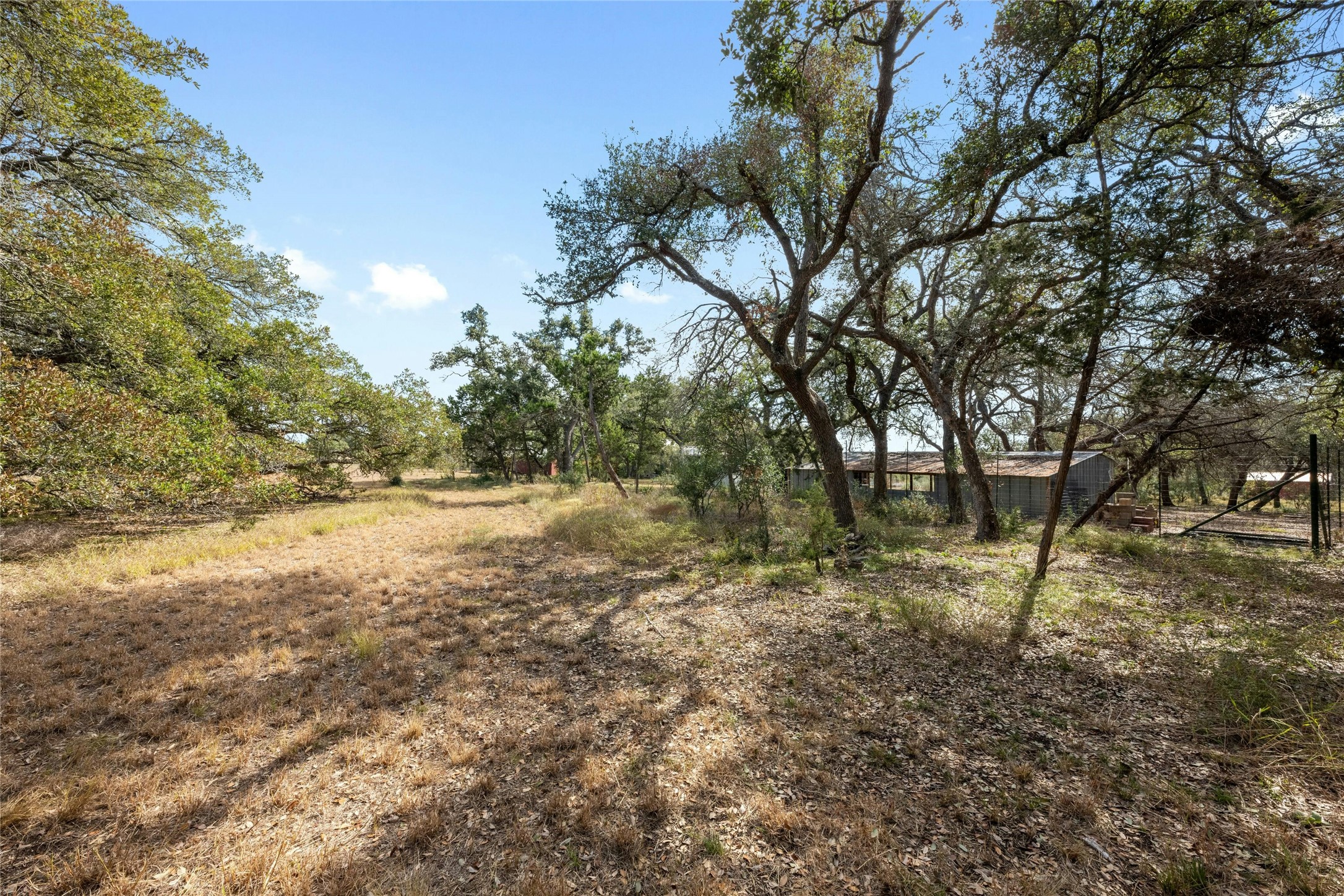 200 Ted Burger Road Dripping Springs, TX 78620 - Photo 10 of 11 a view of dirt yard with a tree