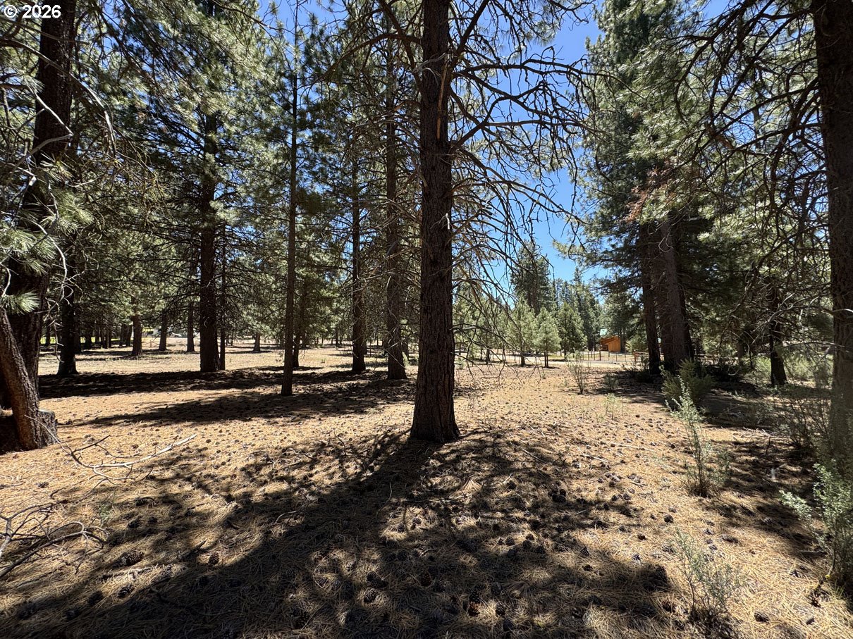 Friendship Drive, Unit 15 Chiloquin, OR 97624 - Photo 22 of 41
