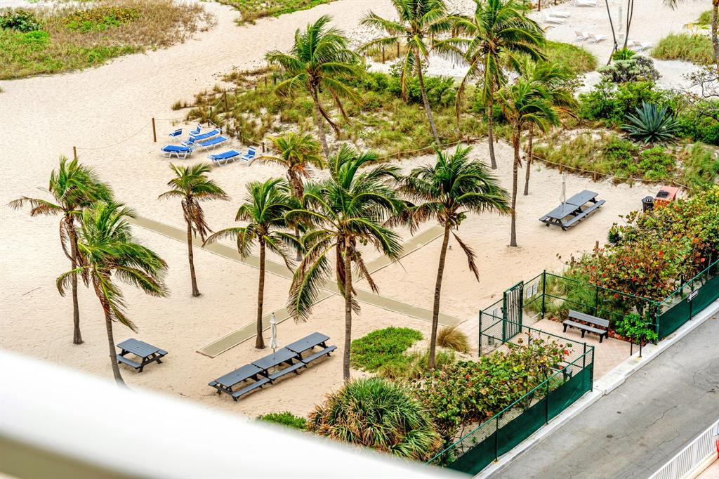750 North Ocean Boulevard, Unit 2008 Pompano Beach, FL 33062 - Photo 57 of 64 a view of a garden