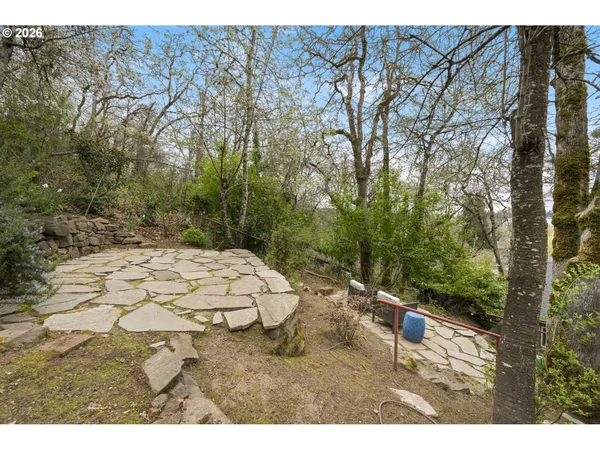 a view of a yard with large trees