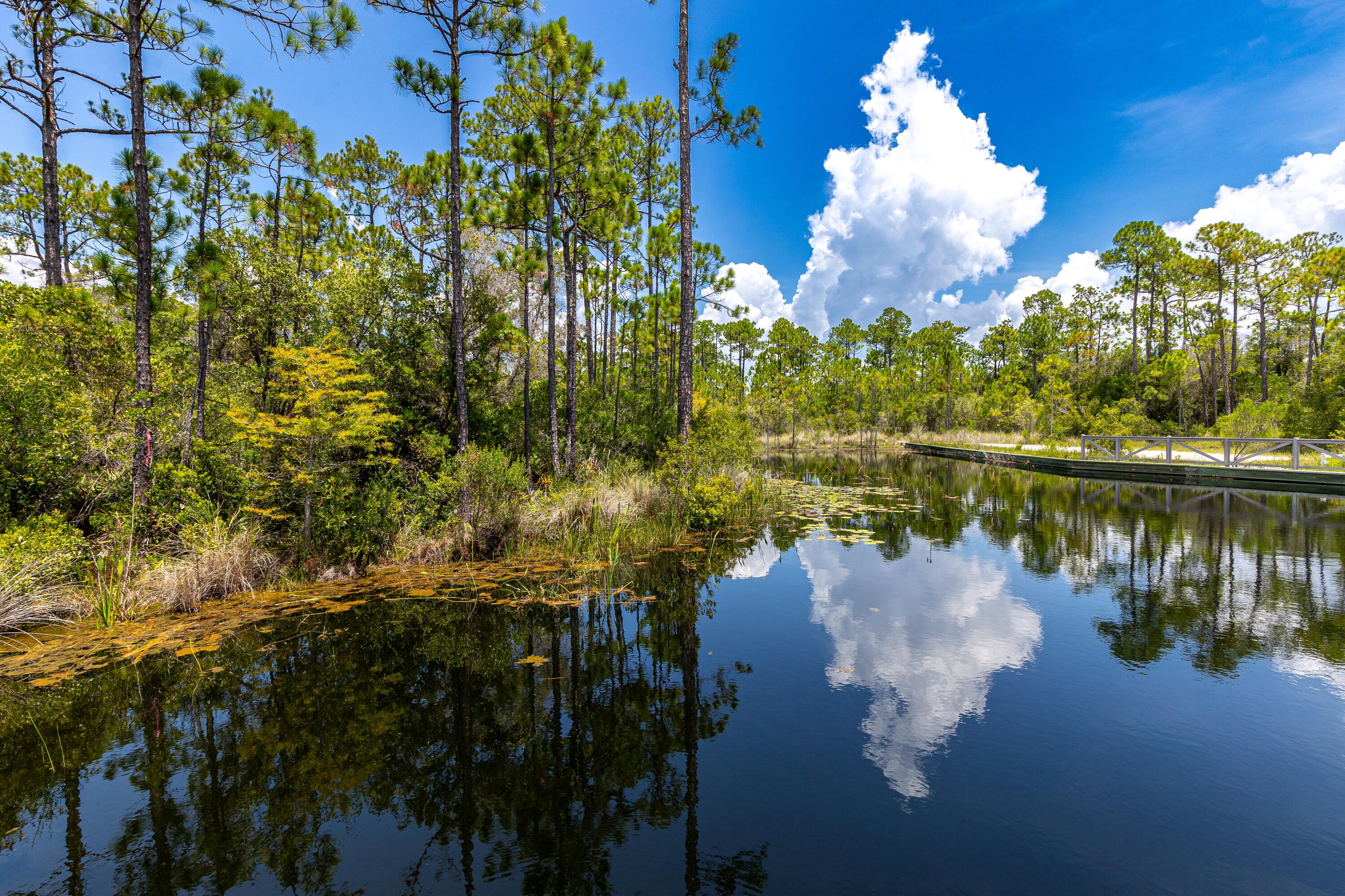 235 Prairie Pass Santa Rosa Beach, FL 32459 - Photo 57 of 80 235 Prairie Pass-18