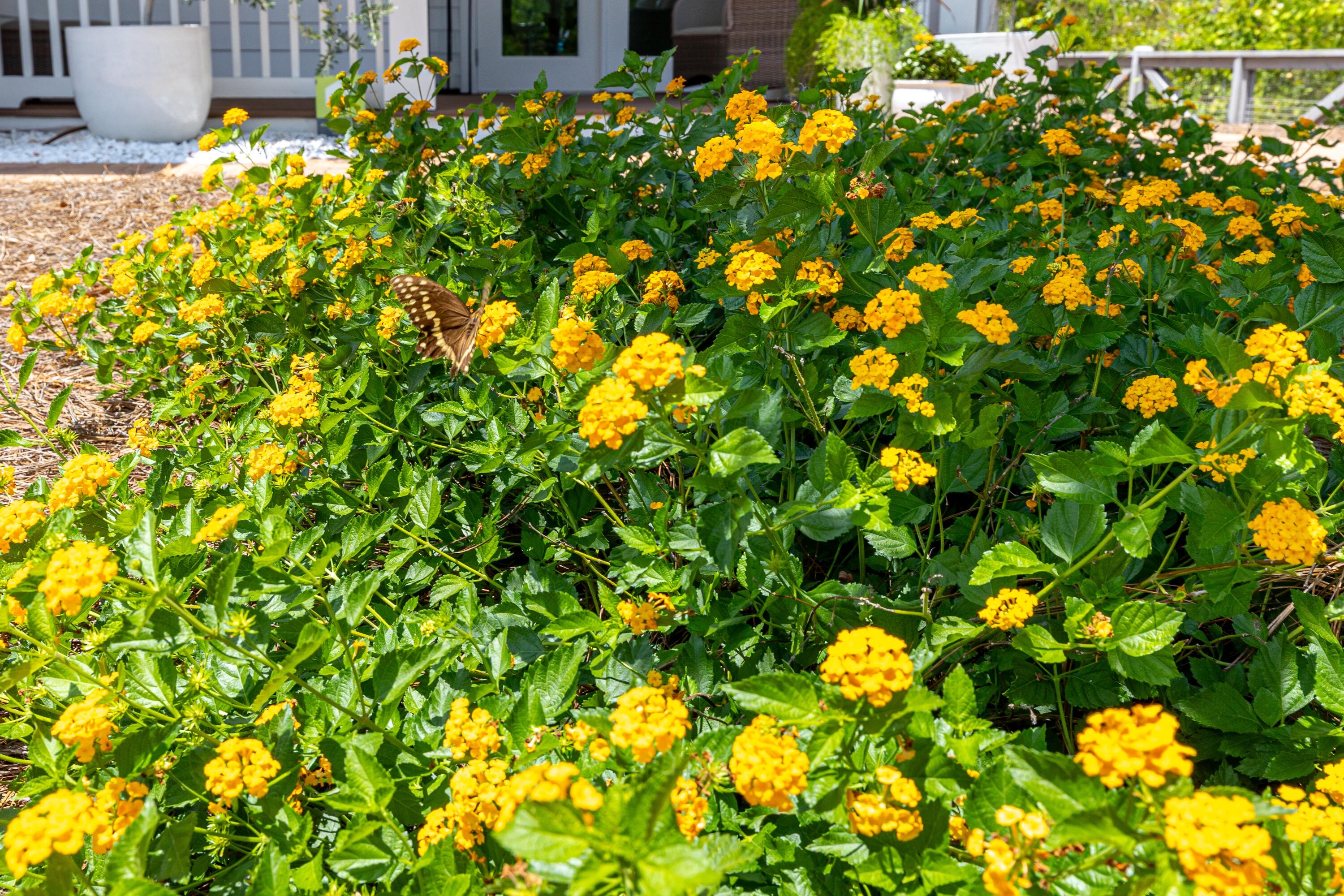 235 Prairie Pass Santa Rosa Beach, FL 32459 - Photo 60 of 80 235 Prairie Pass-21