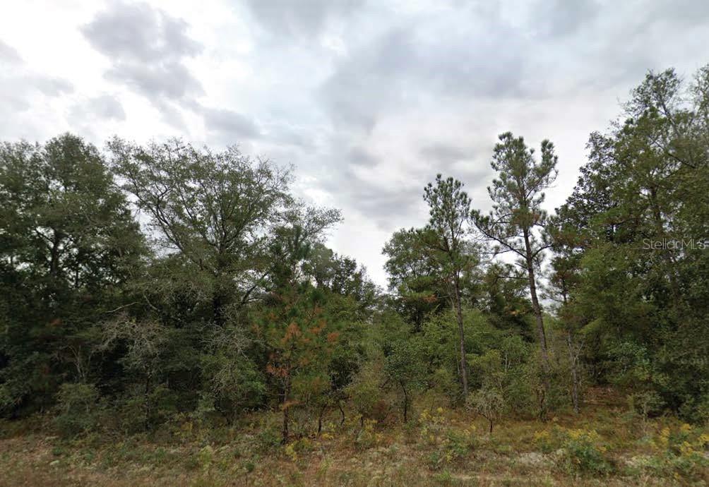 a view of a green field with lots of trees
