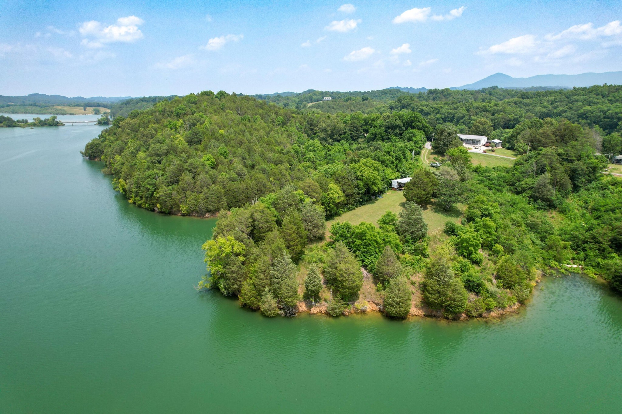 a view of a garden with a lake