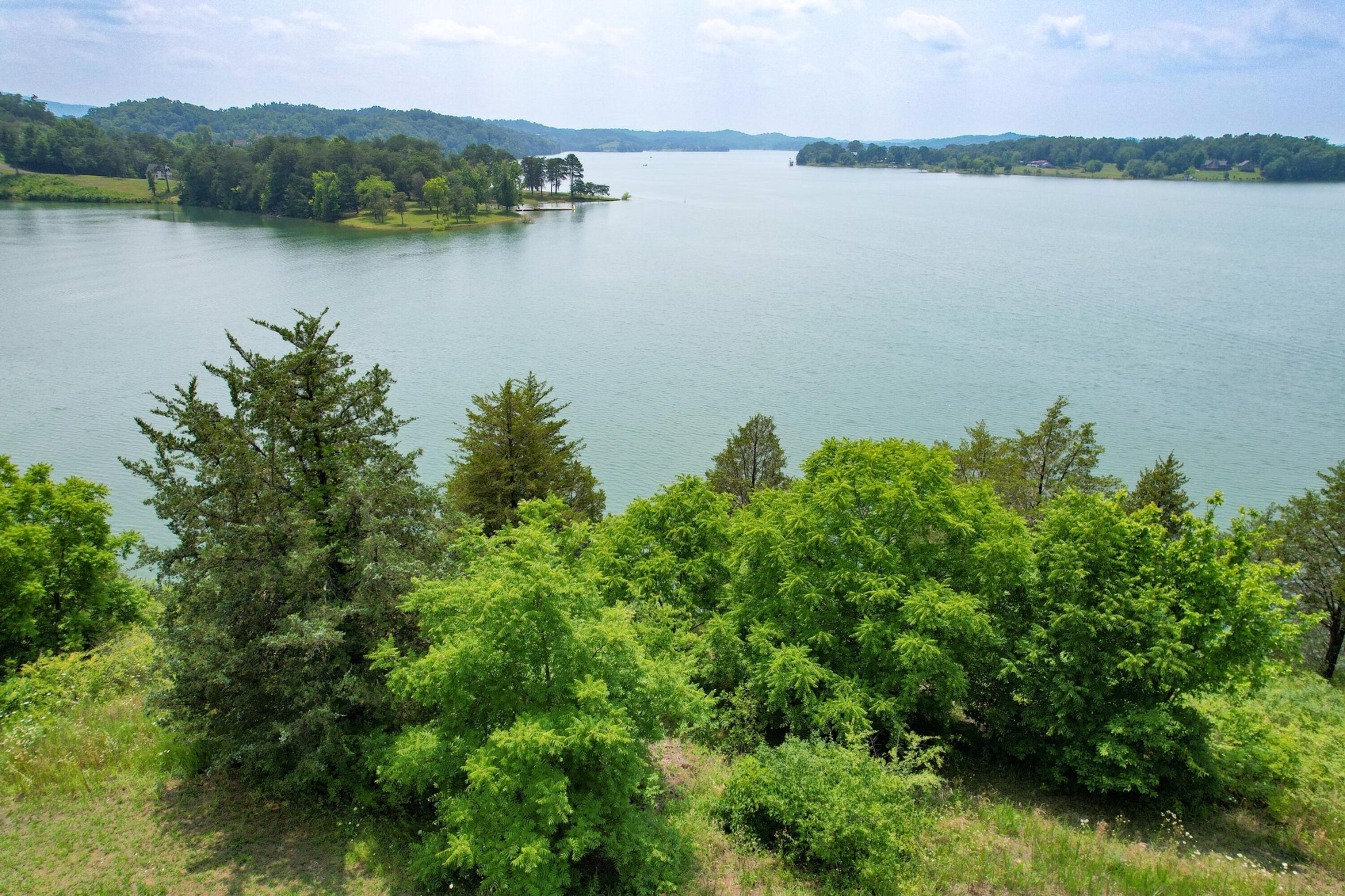 2751 Von Hill Road Dandridge, TN 37725 - Photo 13 of 29 a view of a lake with houses in the back