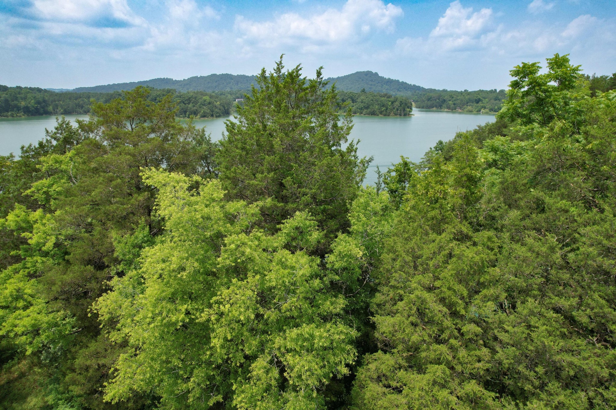 2751 Von Hill Road Dandridge, TN 37725 - Photo 14 of 29 a view of a lake with a building in the background