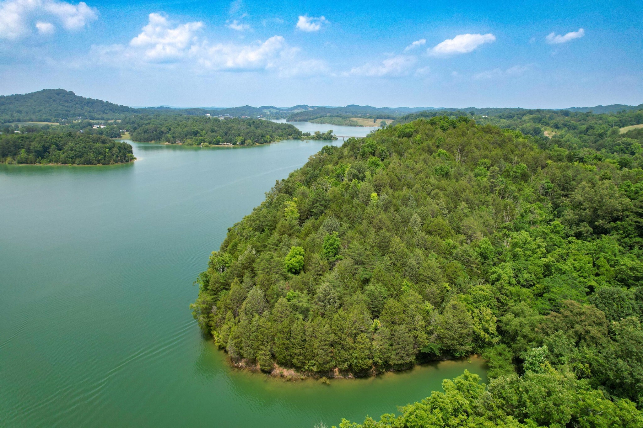 2751 Von Hill Road Dandridge, TN 37725 - Photo 15 of 29 a view of a lake with a mountain in the background