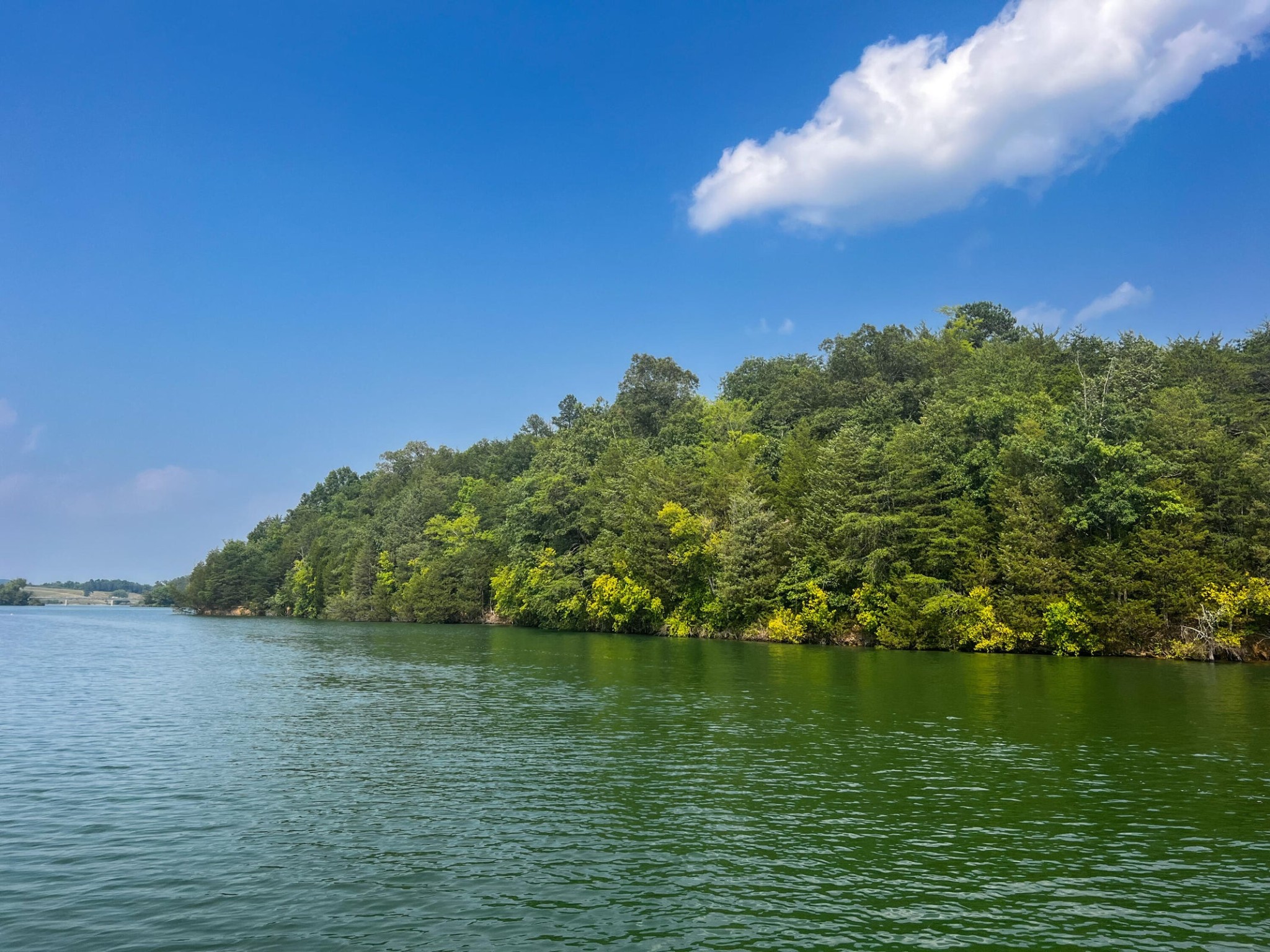 2751 Von Hill Road Dandridge, TN 37725 - Photo 24 of 29 a view of lake with green space