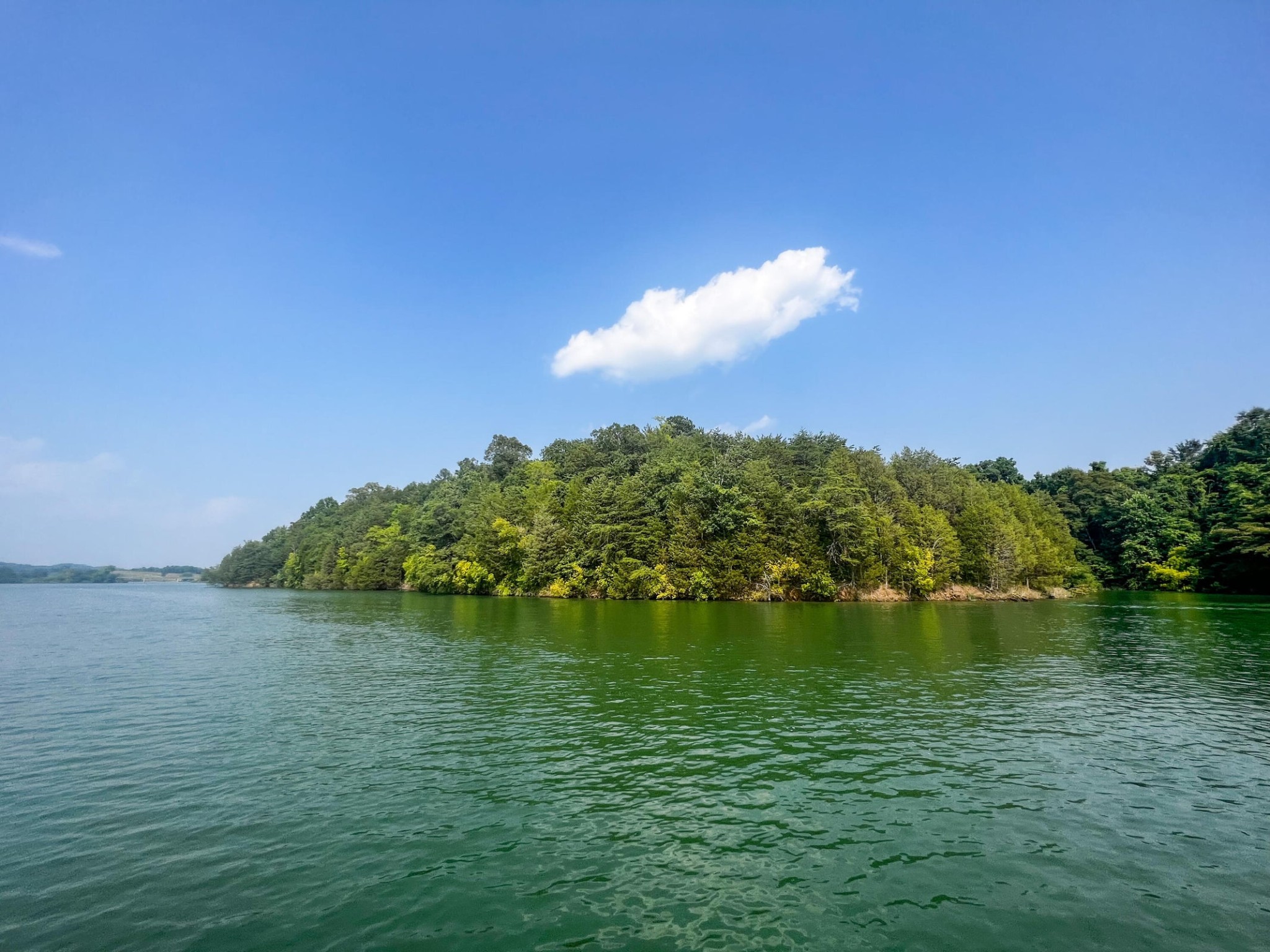 2751 Von Hill Road Dandridge, TN 37725 - Photo 25 of 29 a view of lake with green space