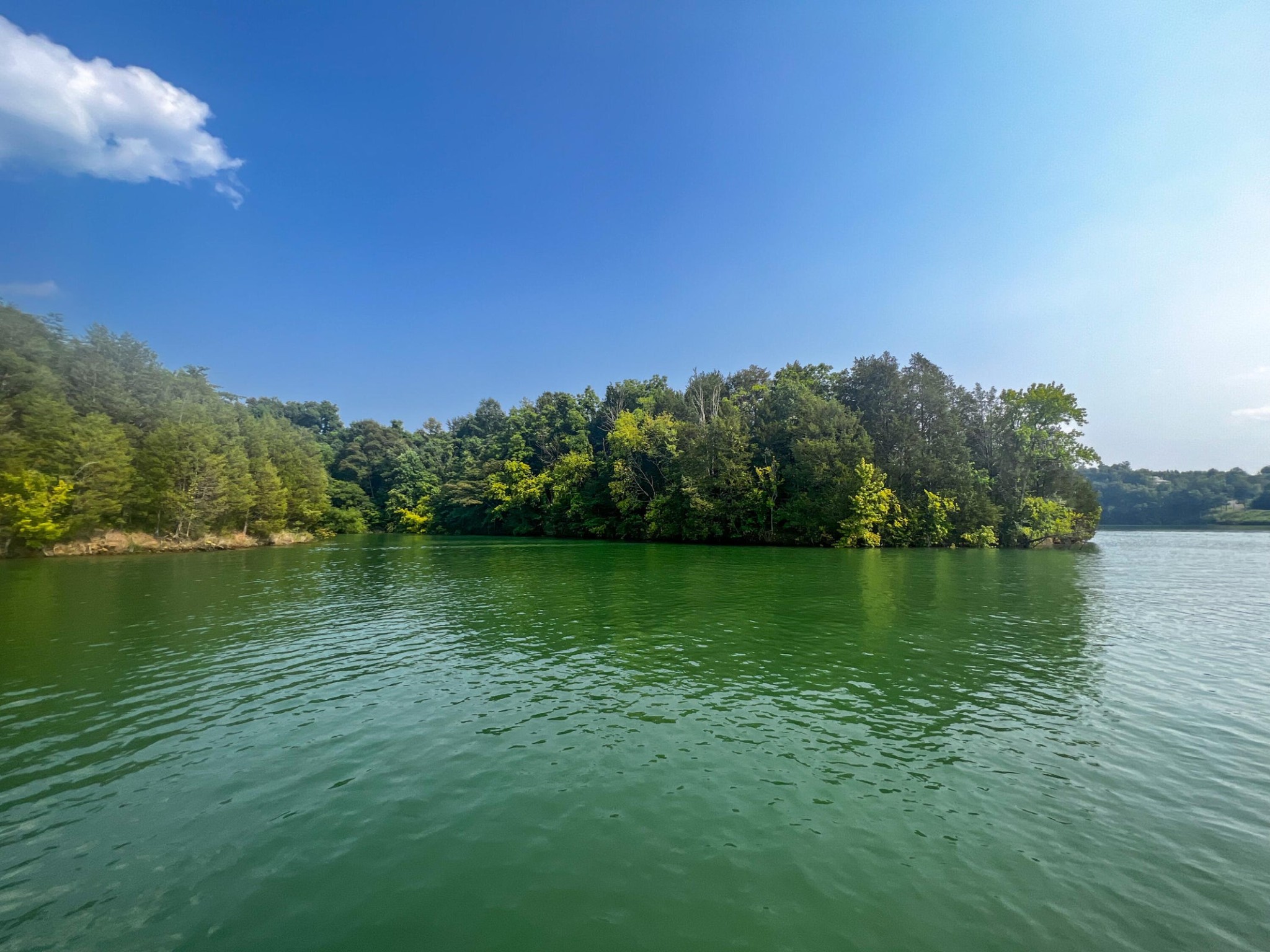 2751 Von Hill Road Dandridge, TN 37725 - Photo 26 of 29 a view of a lake with houses in the background