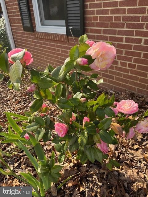 5624 Heming Avenue Springfield, VA 22151 - Photo 40 of 43