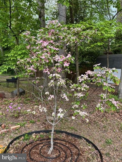 5624 Heming Avenue Springfield, VA 22151 - Photo 41 of 43