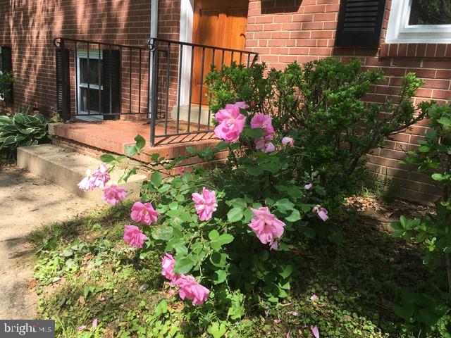 5624 Heming Avenue Springfield, VA 22151 - Photo 42 of 43