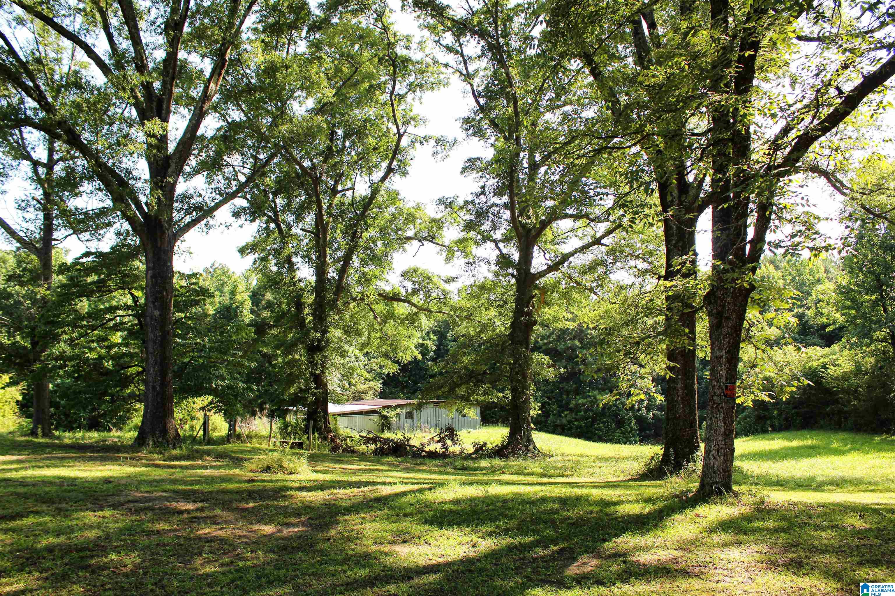 0 Aaron Road Jasper, AL 35501 - Photo 15 of 44