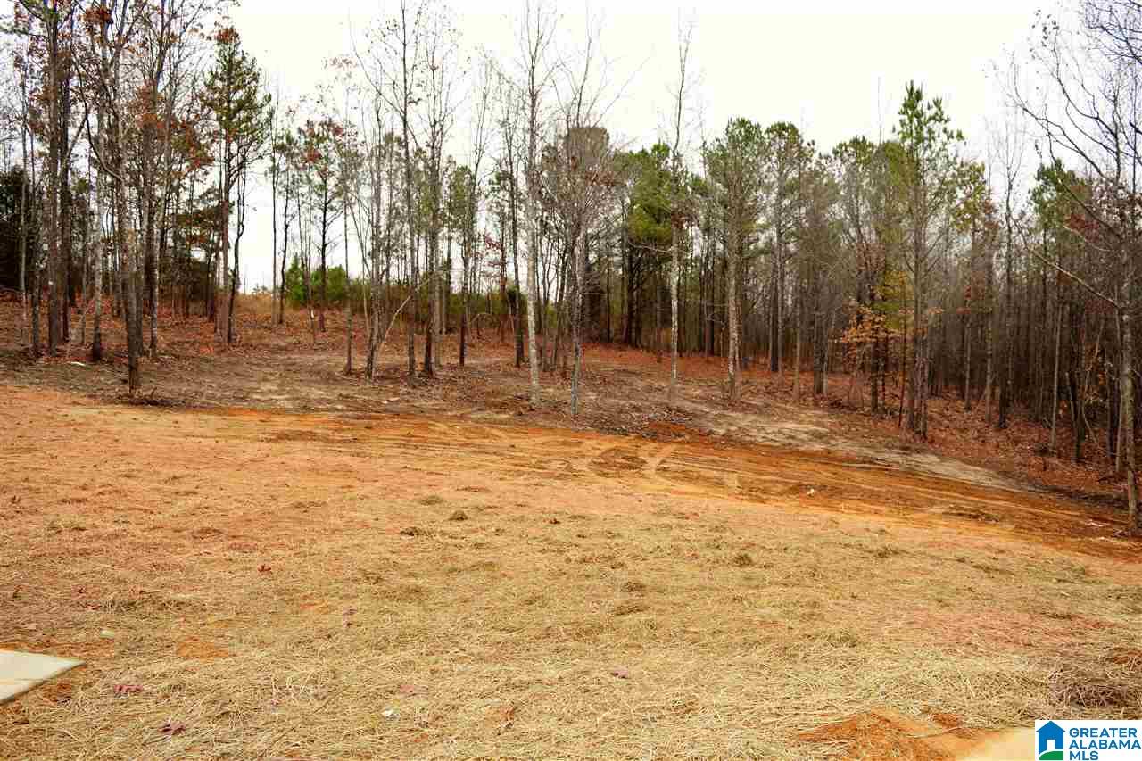 2 Tyler Road Remlap, AL 35133 - Photo 5 of 30