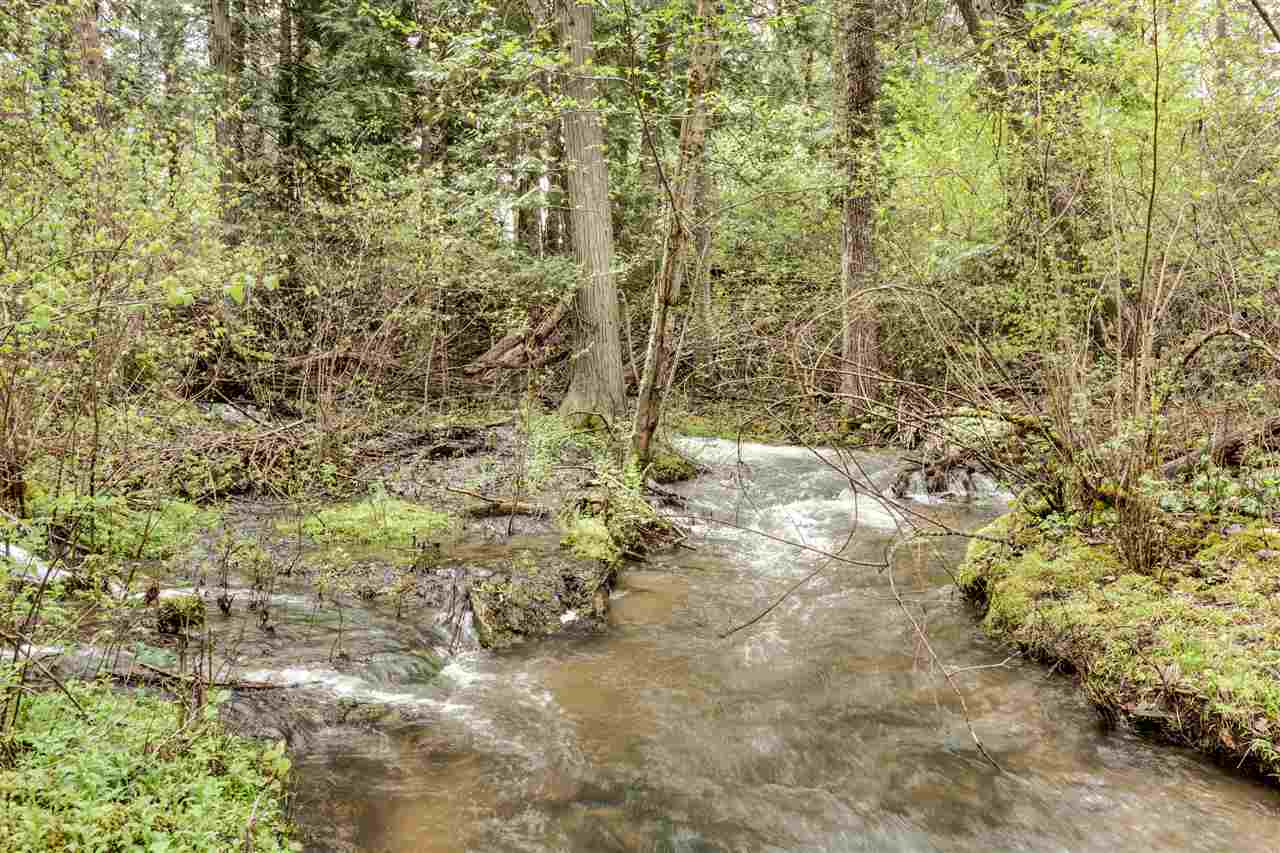 13401 LeClerc Road North Cusick, WA 99119 - Photo 19 of 20