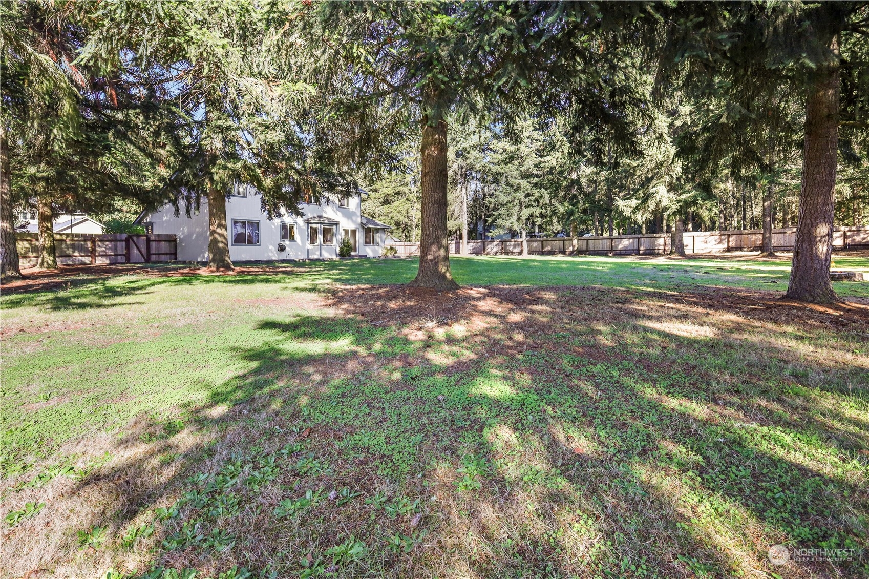 3116 289th Street South Roy, WA 98580 - Photo 33 of 38 a view of yard with trees