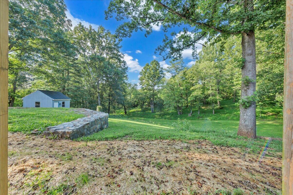 427 Farmington Road Hardy, VA 24101 - Photo 41 of 56 45-MIB09074