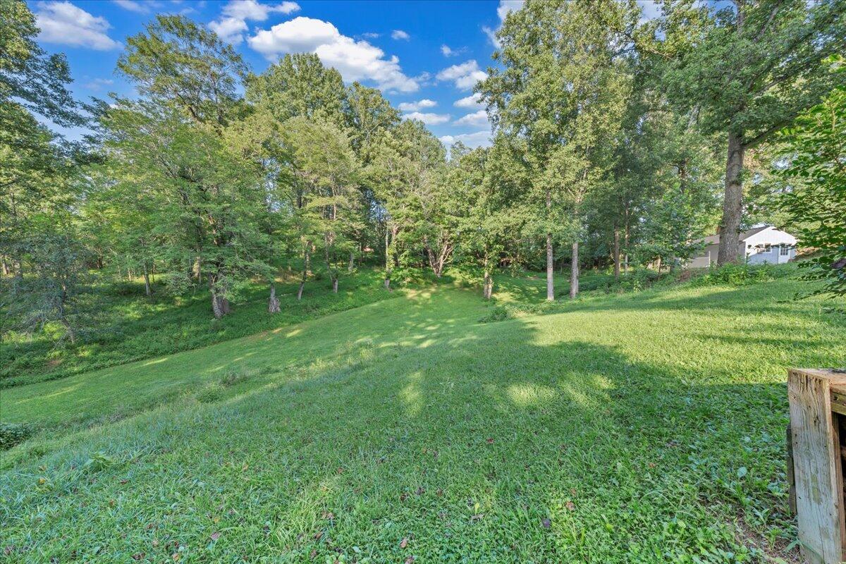 427 Farmington Road Hardy, VA 24101 - Photo 49 of 56 a view of a park with large trees