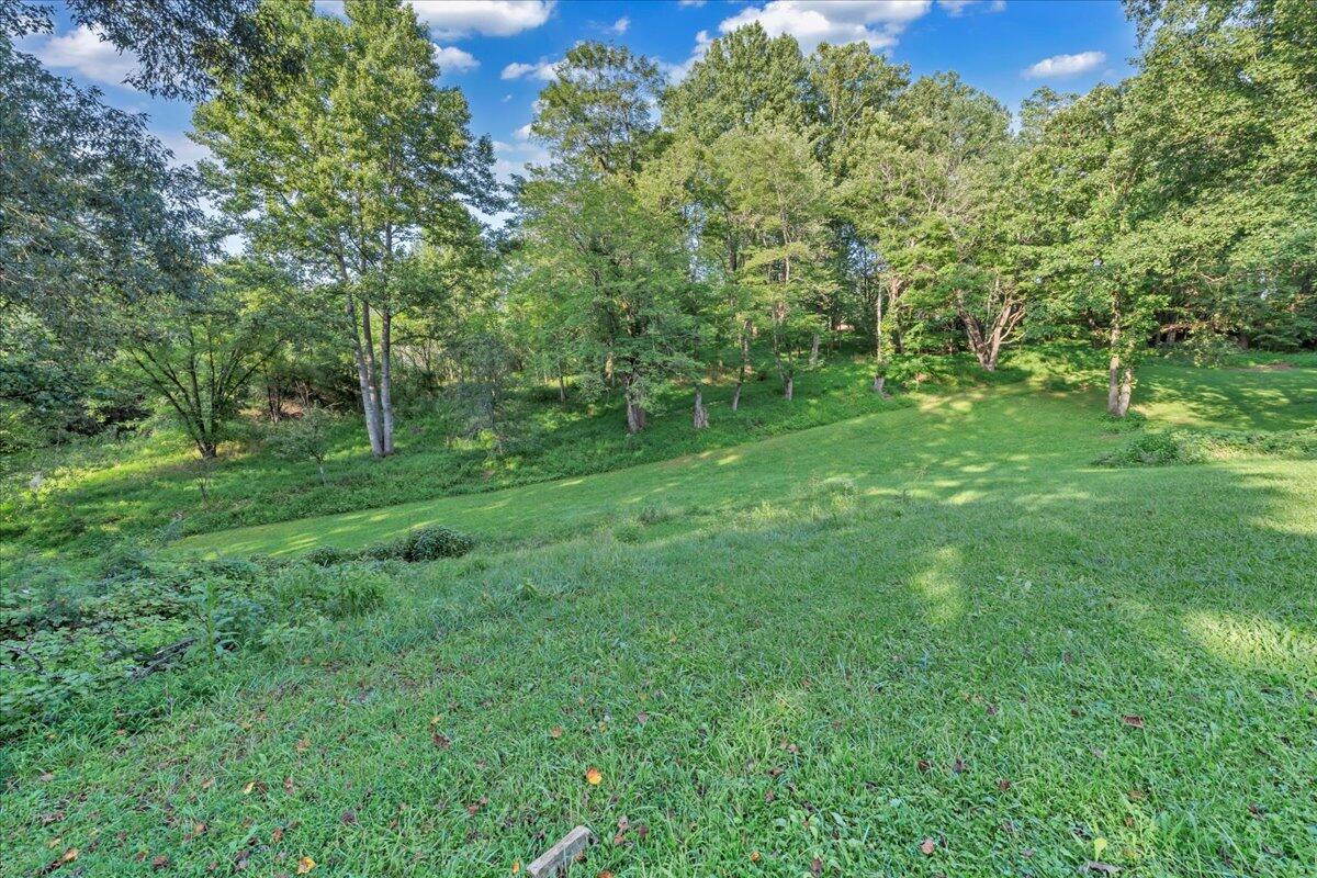 427 Farmington Road Hardy, VA 24101 - Photo 50 of 56 a view of a lush green space