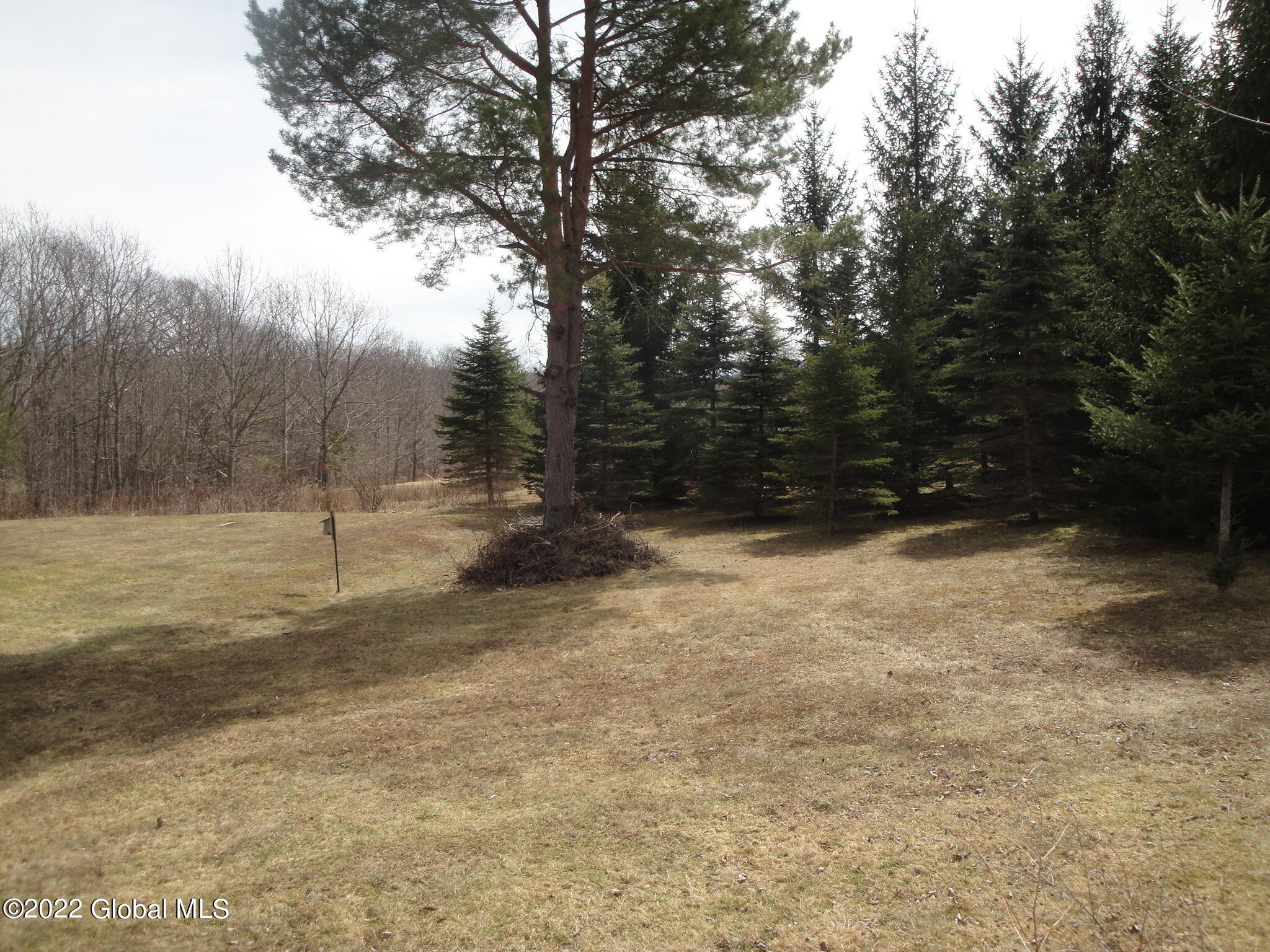 57 Albany Hill Road Westerlo, NY 12193 - Photo 2 of 36 DSC05024