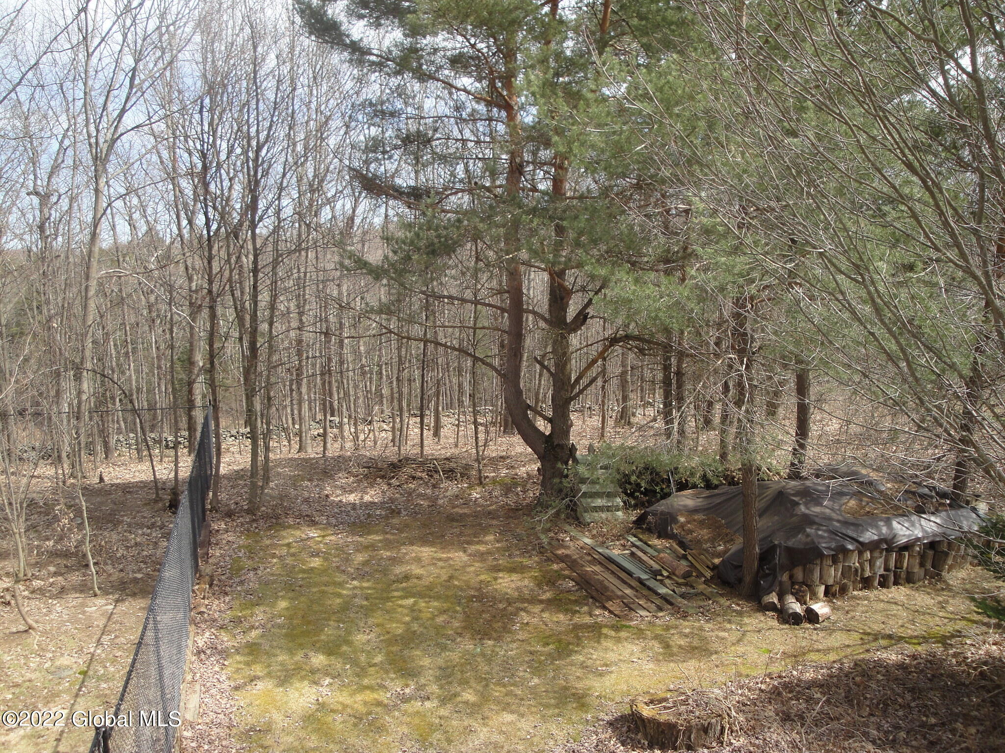 57 Albany Hill Road Westerlo, NY 12193 - Photo 33 of 36 DSC05029