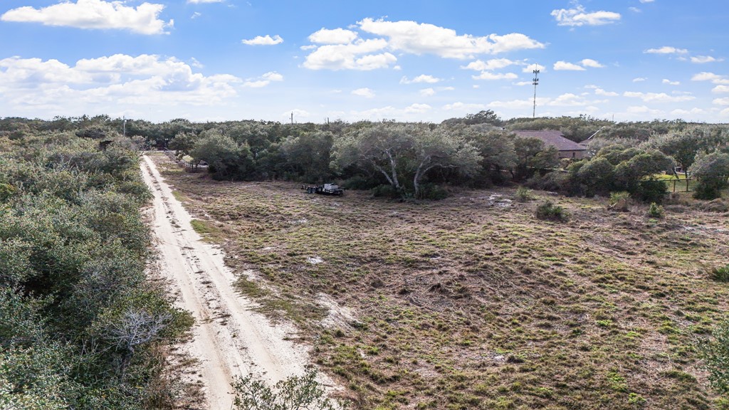 1430 4th Street Ingleside, TX 78362 - Photo 8 of 17 a view of a dry yard with trees