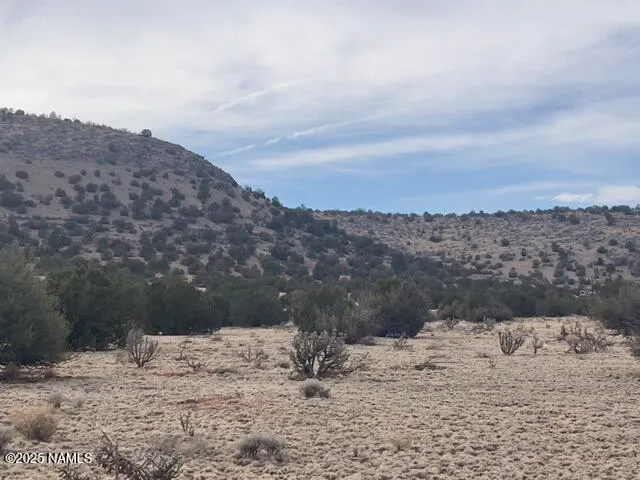 $12,000 | 28184 Ventura Drive, Seligman, AZ 86337