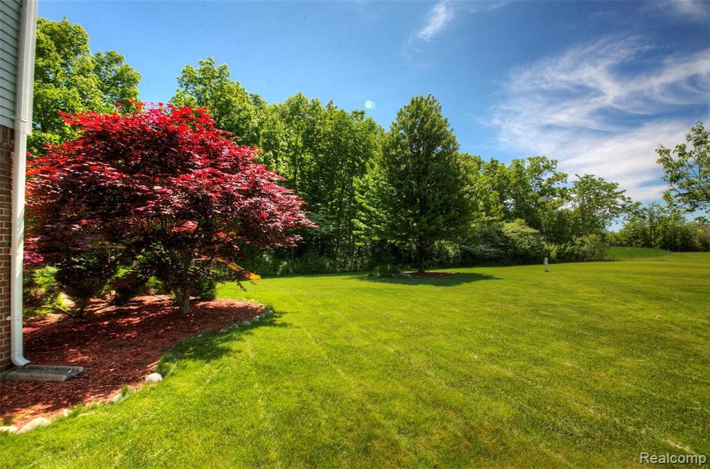 46559 Inverness Road Canton, MI 48188 - Photo 4 of 48