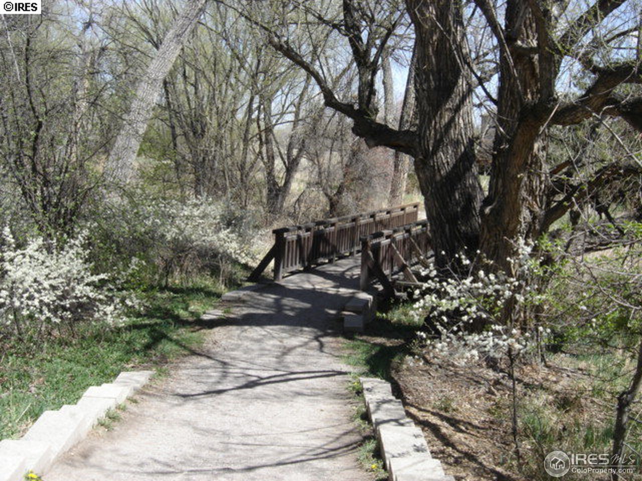 6189 Old Brompton Road Boulder, CO 80301 - Photo 19 of 20 Trail behind house