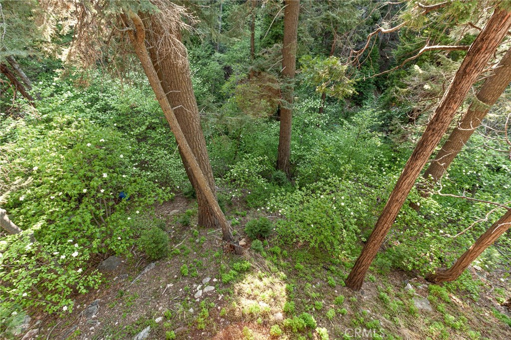 576 Kuffel Canyon Road Lake Arrowhead, CA 92352 - Photo 35 of 61