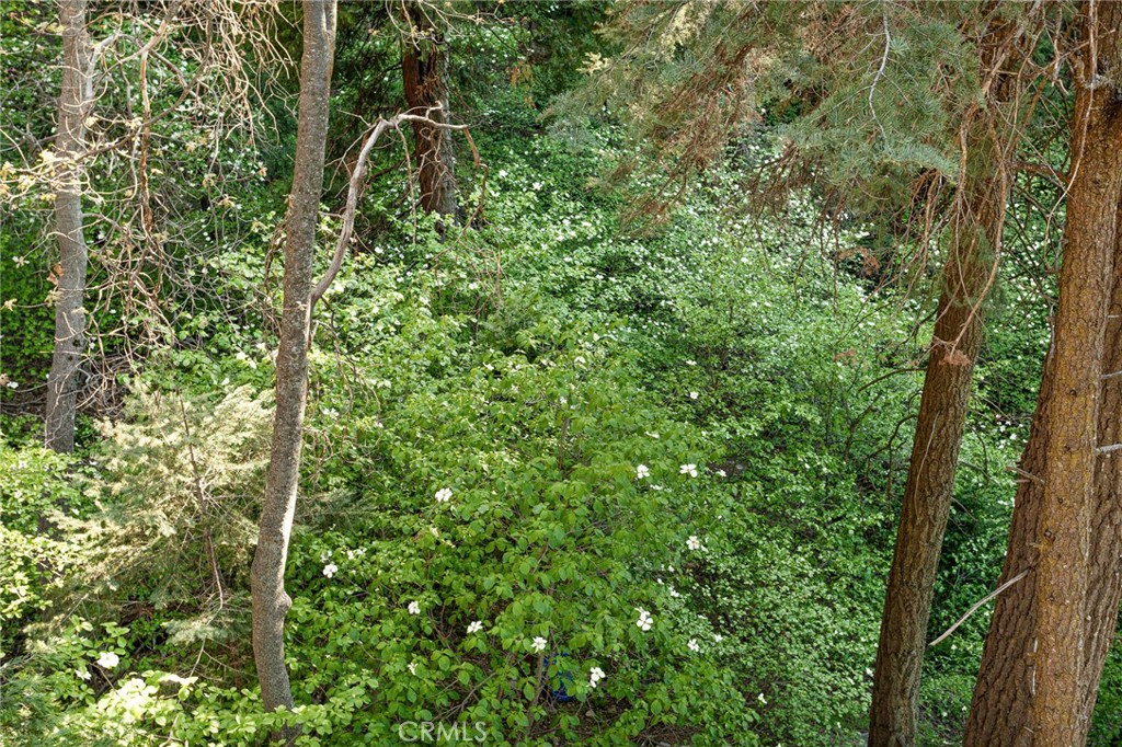 576 Kuffel Canyon Road Lake Arrowhead, CA 92352 - Photo 36 of 61