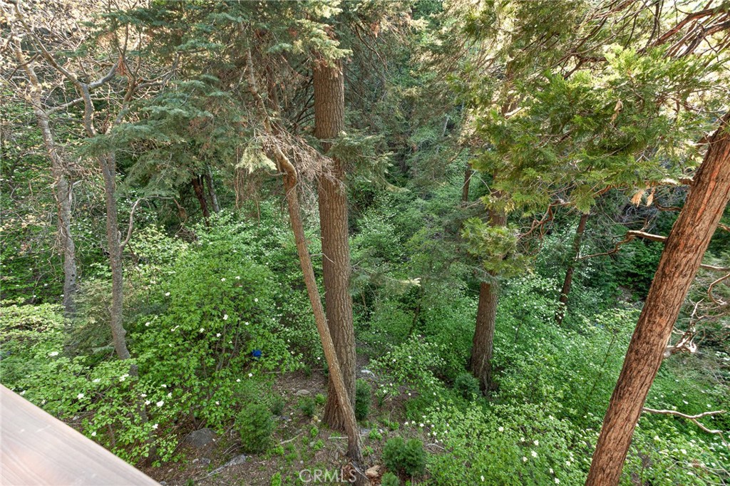 576 Kuffel Canyon Road Lake Arrowhead, CA 92352 - Photo 38 of 61 a view of a forest with trees