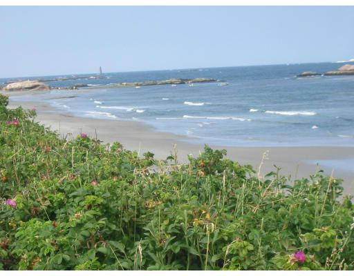 16 Booth Hill Road Scituate, MA 02066 - Photo 18 of 18 a view of a beach with a field