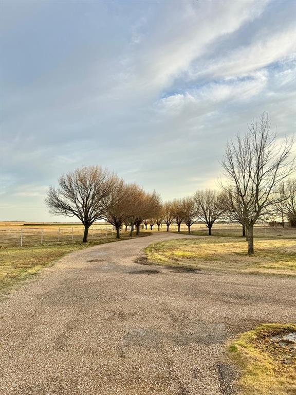 2300 Berend Road Pilot Point, TX 76258 - Photo 35 of 39 View of property's community featuring driveway