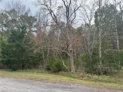 $12,500 | 22 South Frst Cv Loop, Coldspring, TX 77331