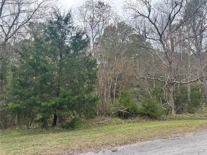 $12,500 | 22 South Frst Cv Loop, Coldspring, TX 77331