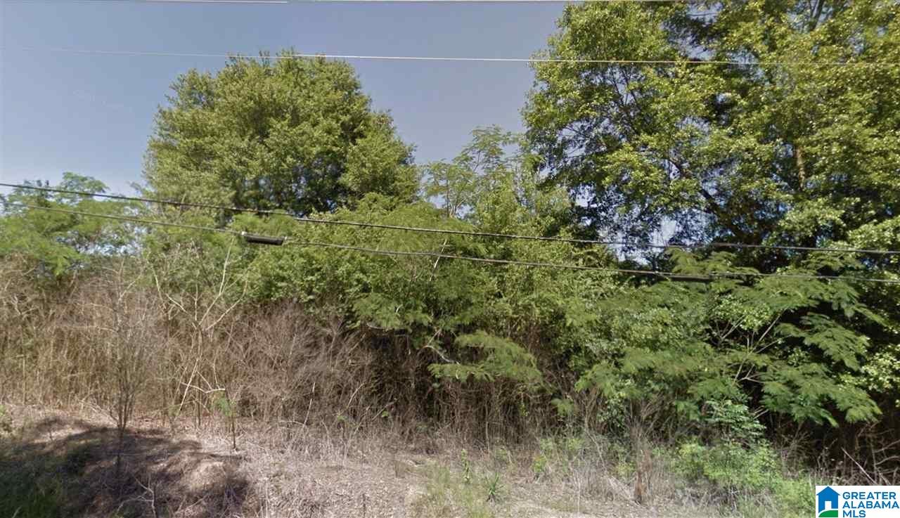 7735 Bagley Road Dora, AL 35062 - Photo 1 of 1