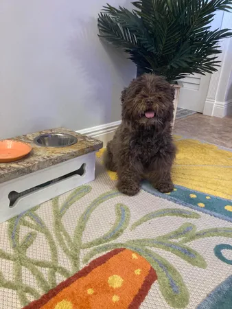 a view of a closet area