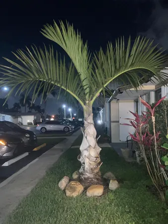 a kitchen with refrigerator and stove