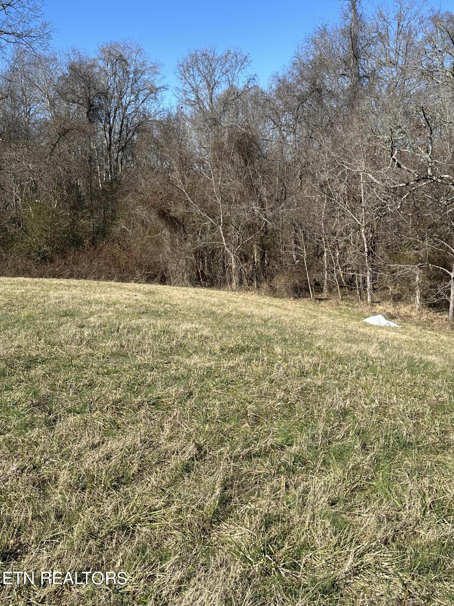 Bob Wright Road Maynardville, TN 37807 - Photo 3 of 12 lot 43 1
