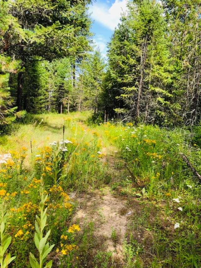 4201 Lyons Hill Road Springdale, WA 99173 - Photo 1 of 5