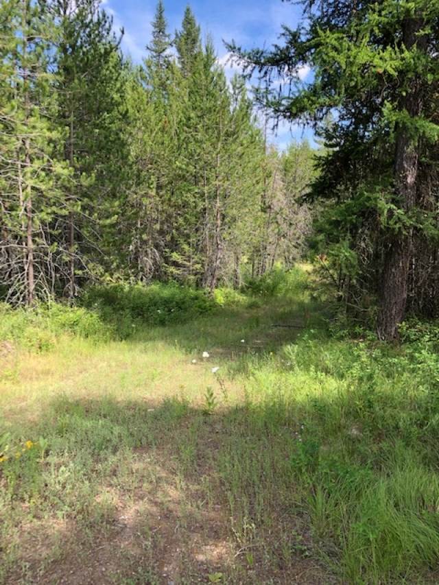 4201 Lyons Hill Road Springdale, WA 99173 - Photo 3 of 5