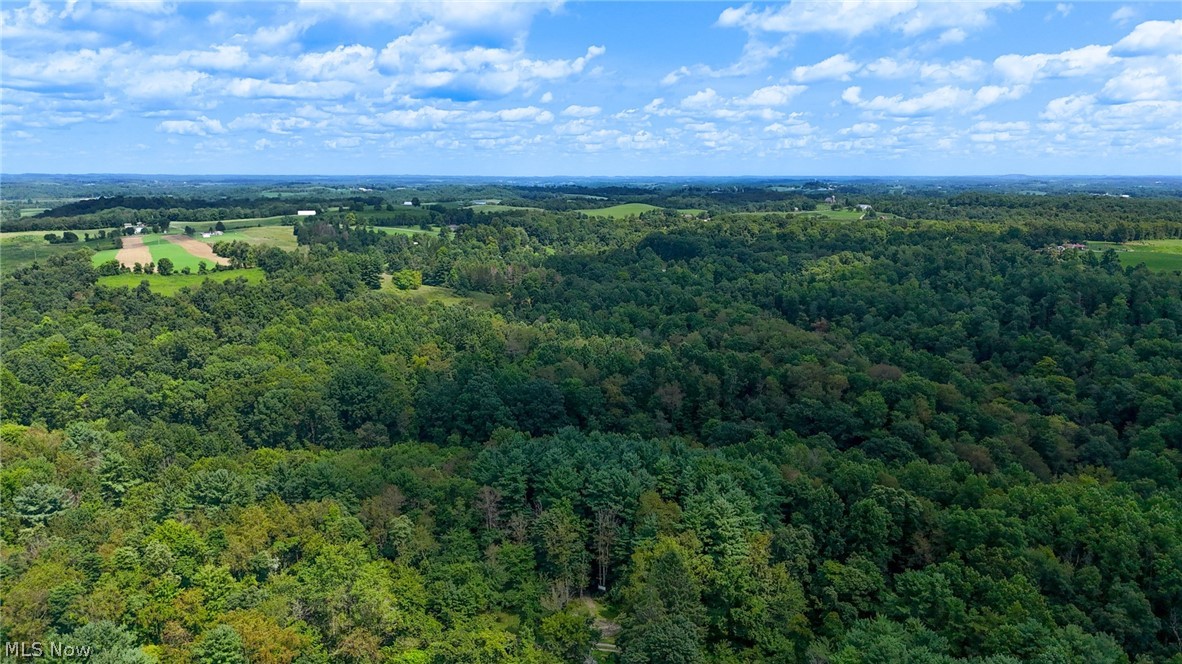 34668 Township Road Woodsfield, OH 43793 - Photo 41 of 50 Gallery Image 41