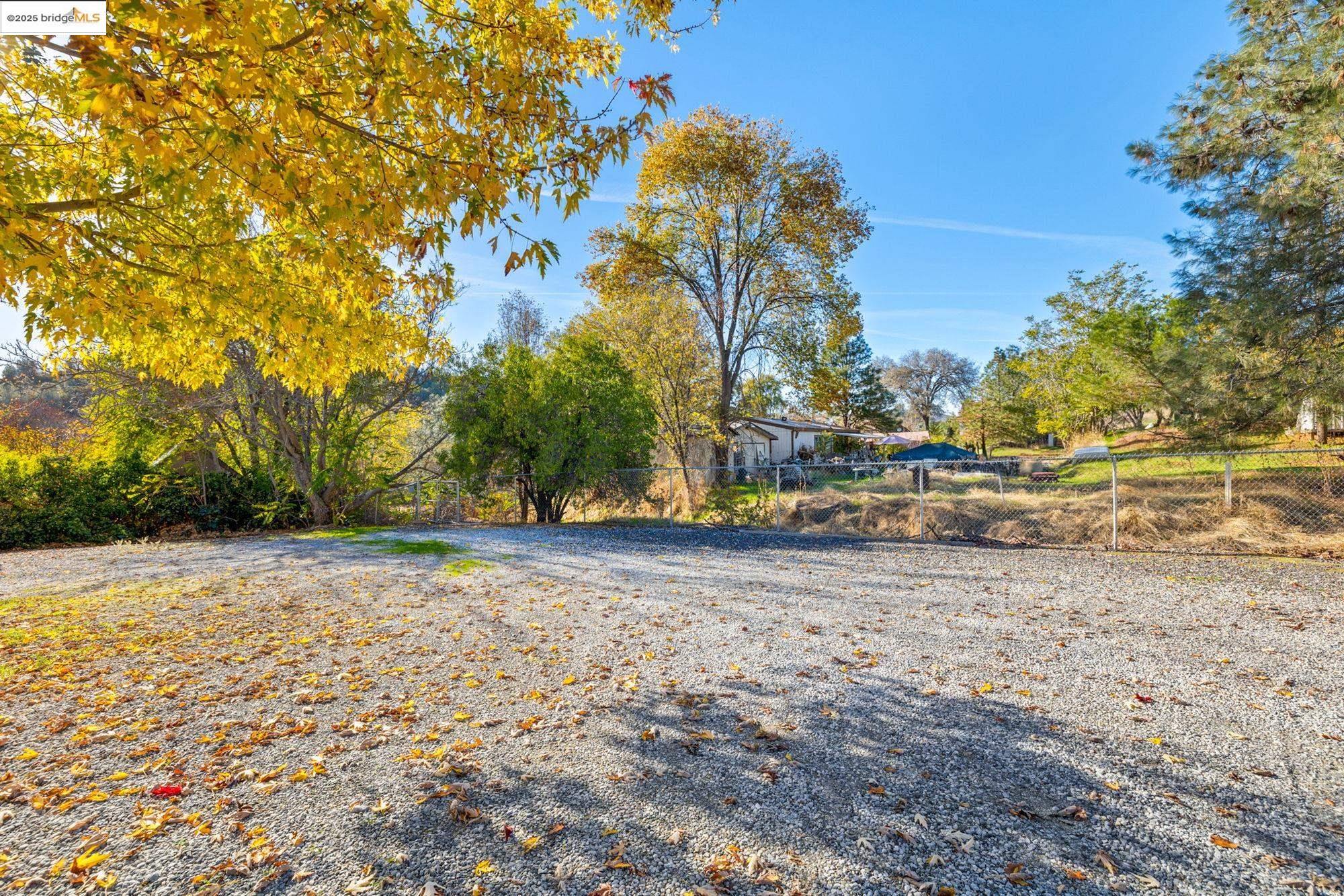 5033 Main Street Coulterville, CA 95311 - Photo 10 of 38 a view of a yard with plants and trees