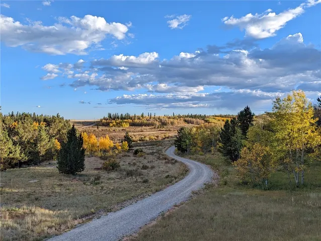 a view of a dry yard with lots of trees