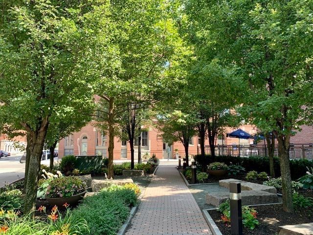a huge green field with lots of trees
