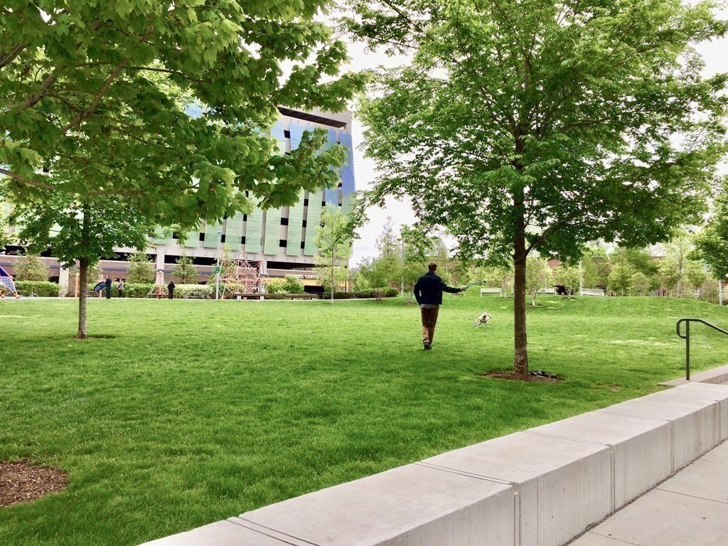 25 Channel Center Street, Unit 202 Boston, MA 02210 - Photo 18 of 18 a huge green field with lots of trees